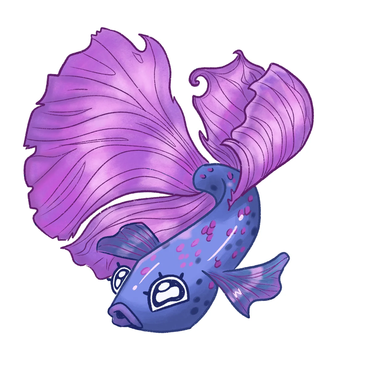 Pez Betta: Danza Púrpura
