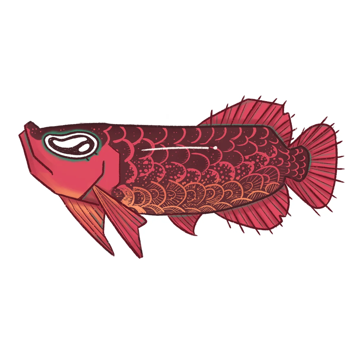 Arowana Carmesí: Dragón Acuático