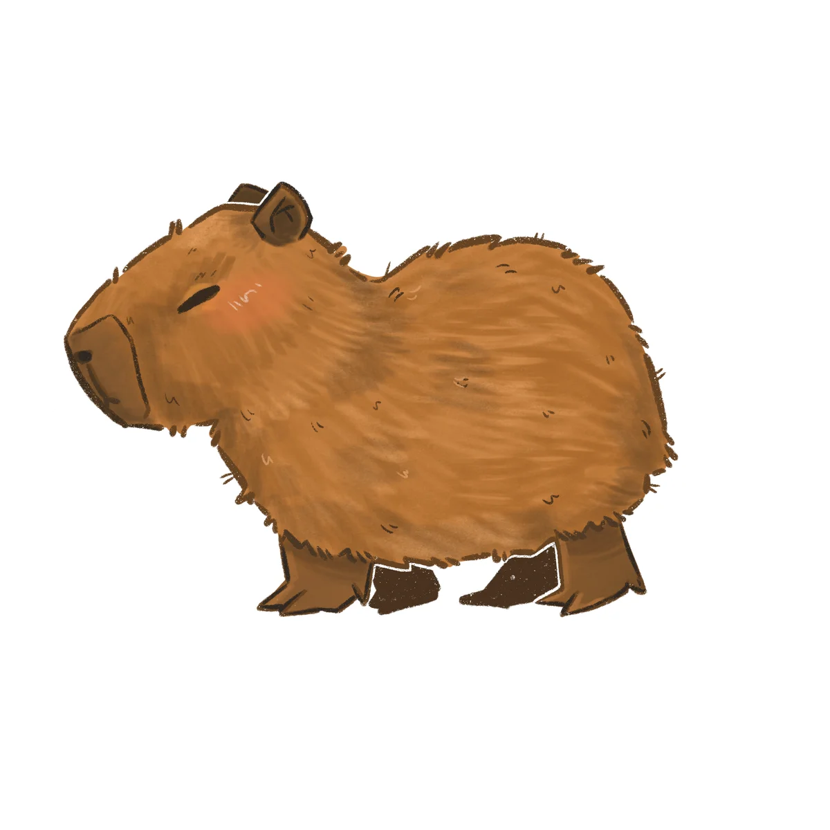 Serie Fauna Mágica XII