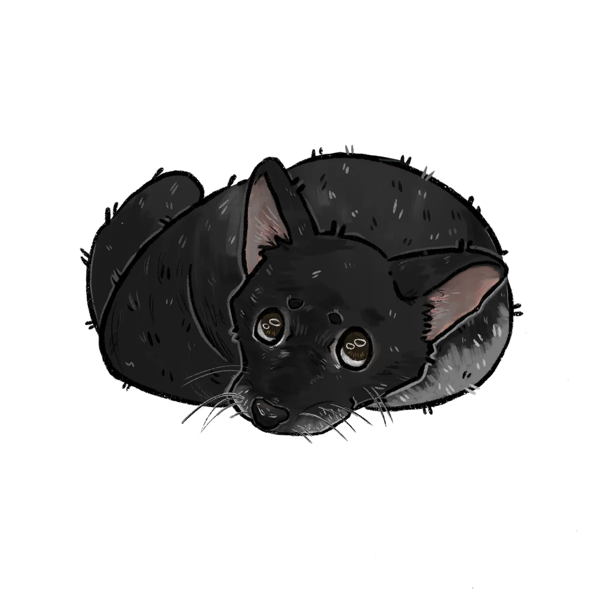 Serie Fauna Mágica XVIII